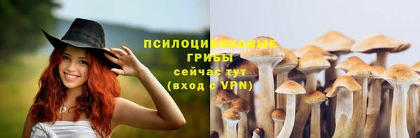 ешки Балабаново