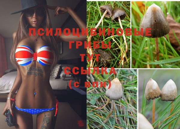 молекула духа Переславль-Залесский