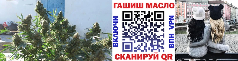где купить наркоту  блэк спрут ССЫЛКА  Дистиллят ТГК вейп  Беломорск 