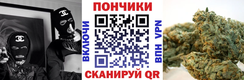 магазин    Беломорск  Бошки Шишки семена 